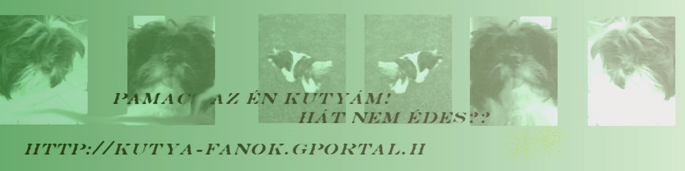  Pamacs az n kutym!Ht nem des?!